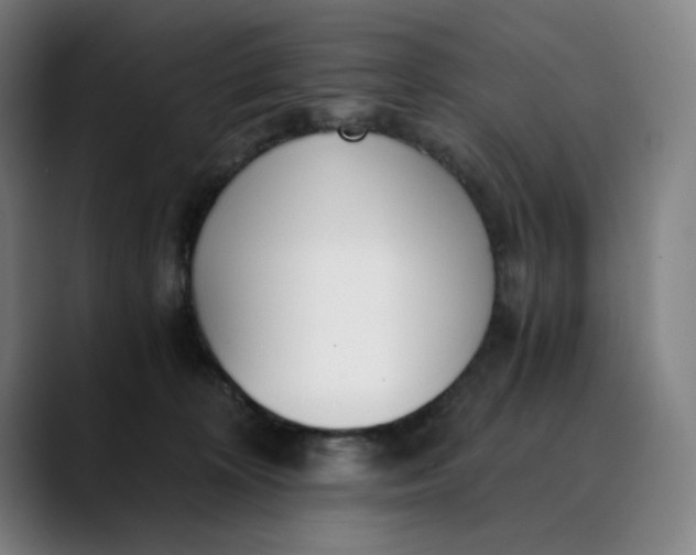 X0000089830324200707121645