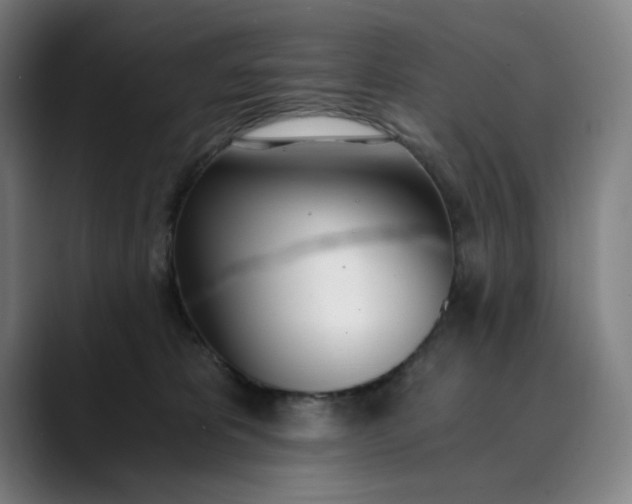 X0000089830325200707121645