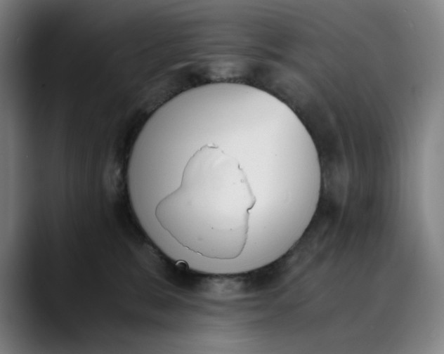 X0000089830327200707121645