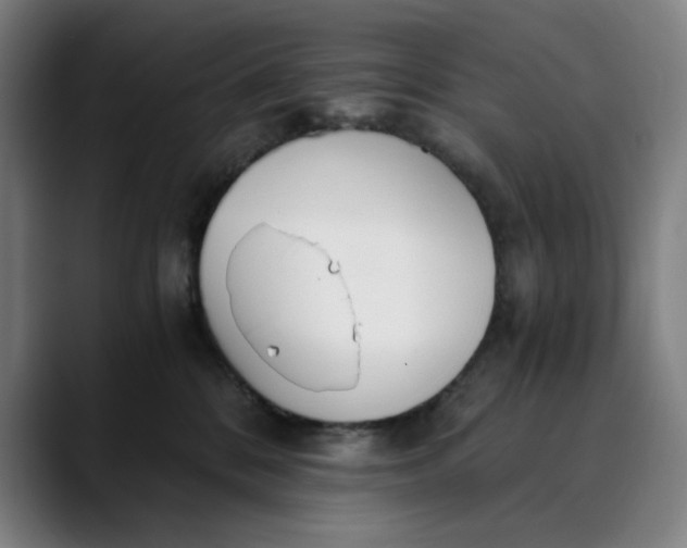 X0000089830328200707121645