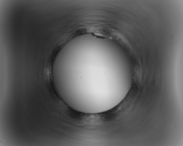 X0000089830329200707121645