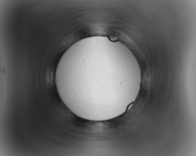 X0000089830330200707121645