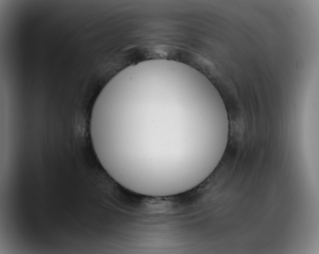 X0000089830331200707121645