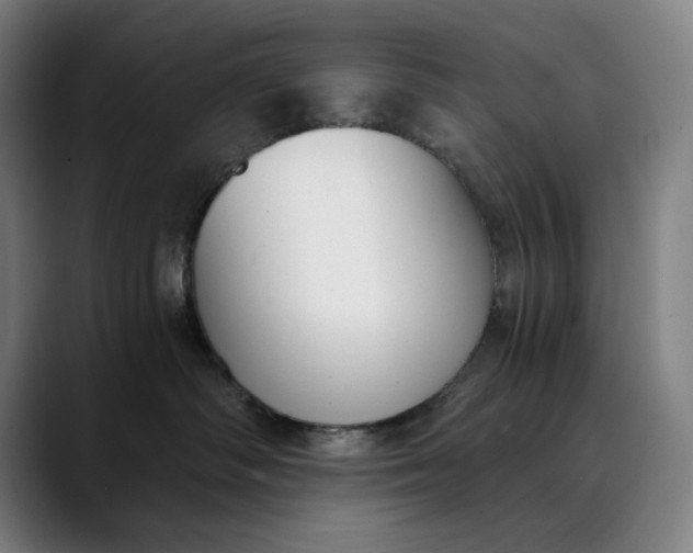 X0000089830334200707121645