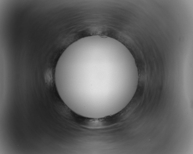 X0000089830335200707121645