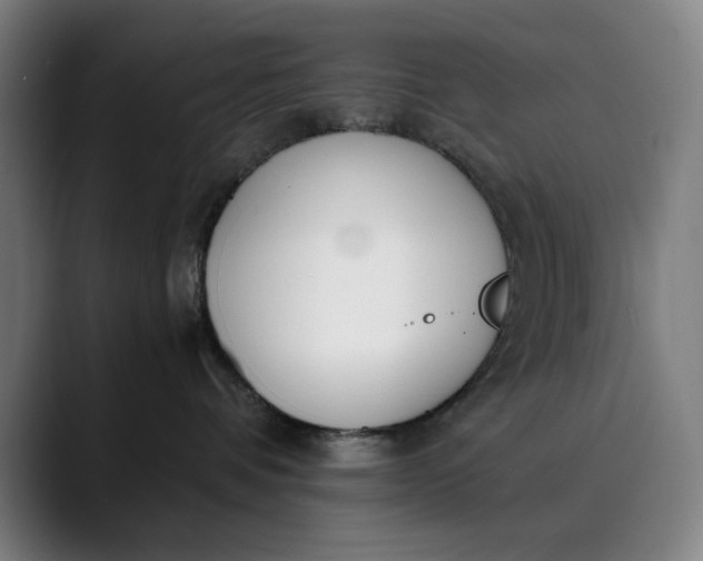 X0000089830336200707121645