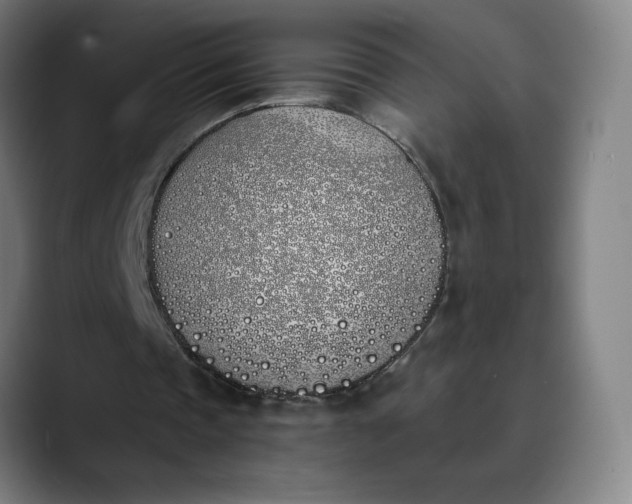 X0000089830337200707121645