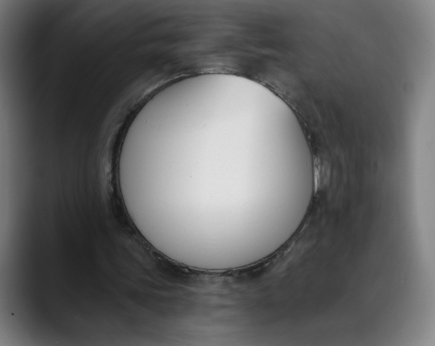 X0000089830339200707121645