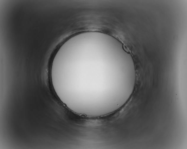 X0000089830342200707121645