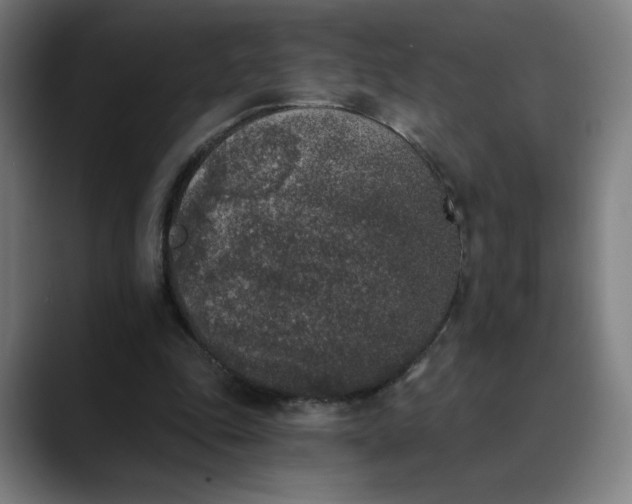 X0000089830343200707121645