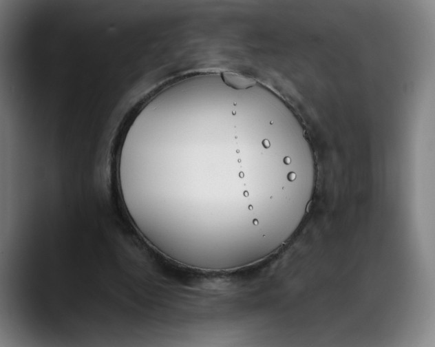 X0000089830344200707121645