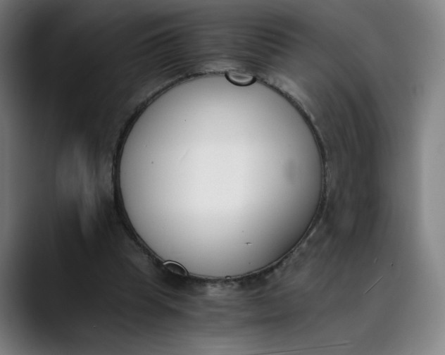 X0000089830345200707121645