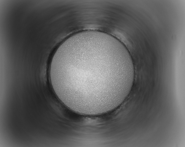 X0000089830346200707121645