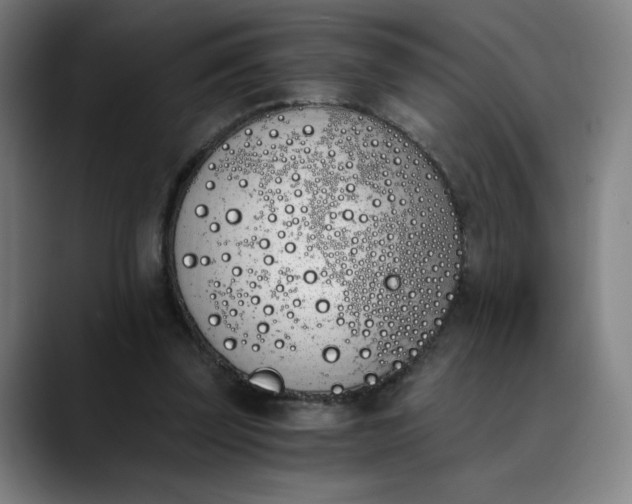 X0000089830347200707121645