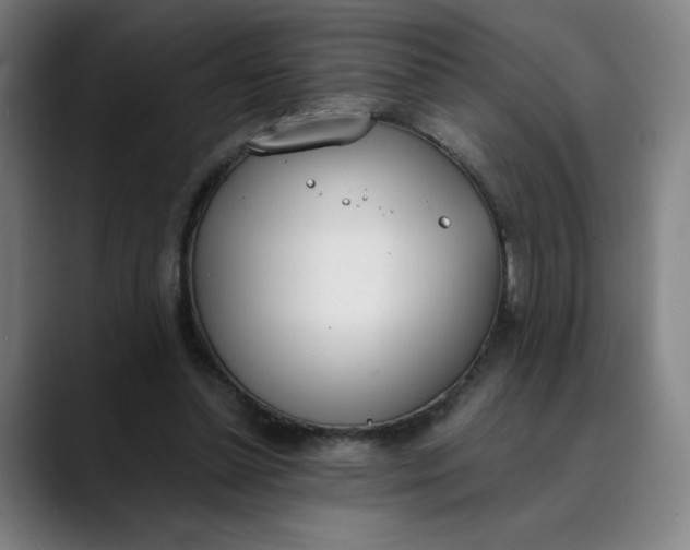 X0000089830348200707121645