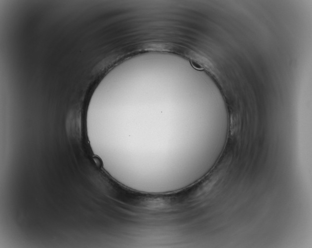 X0000089830349200707121645