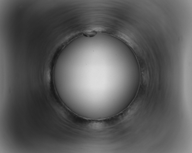 X0000089830350200707121645