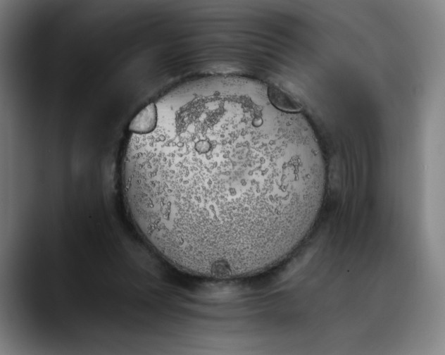 X0000089830351200707121645