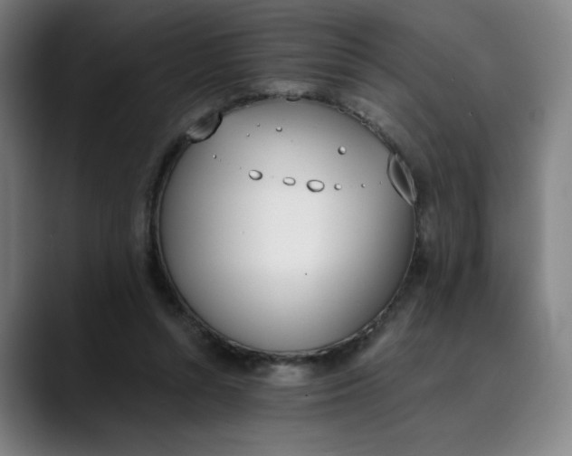 X0000089830352200707121645