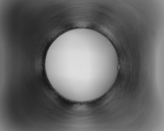 X0000089830354200707121645