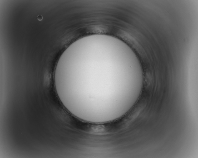 X0000089830355200707121645