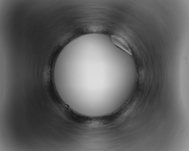 X0000089830356200707121645