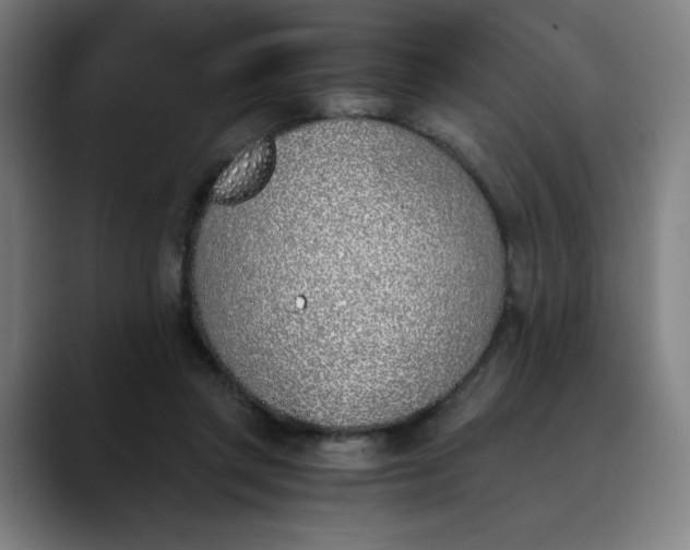 X0000089830357200707121645