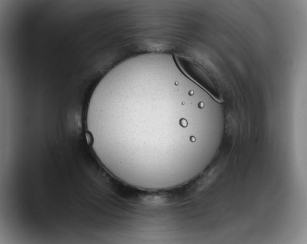 X0000089830358200707121645