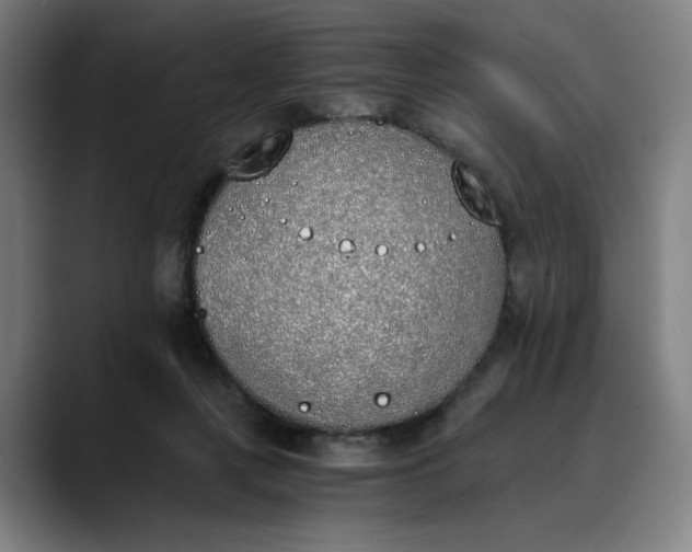 X0000089830359200707121645