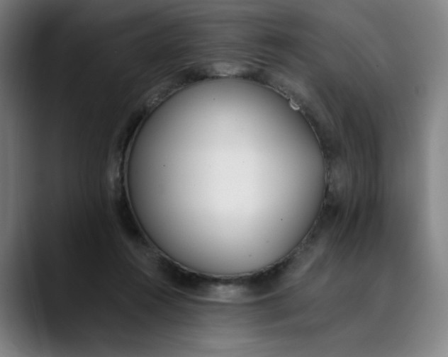 X0000089830360200707121645