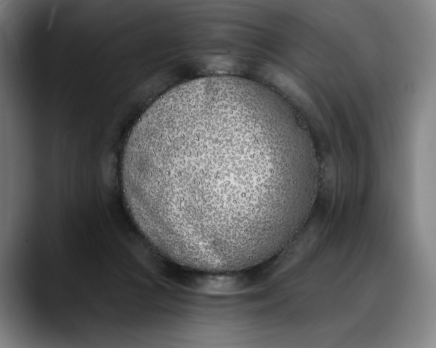 X0000089830361200707121645