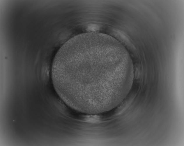 X0000089830363200707121645