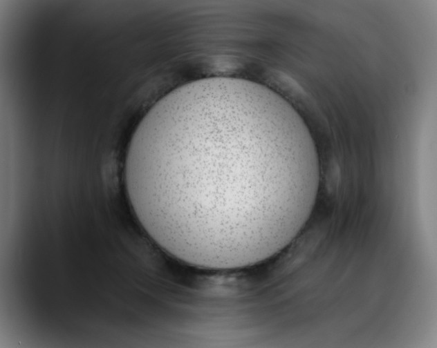 X0000089830366200707121645