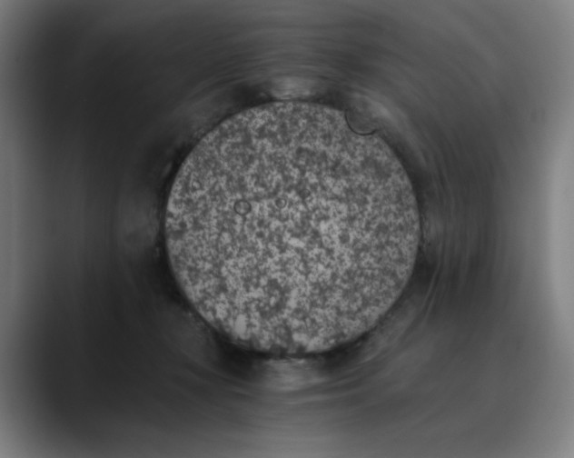 X0000089830367200707121645