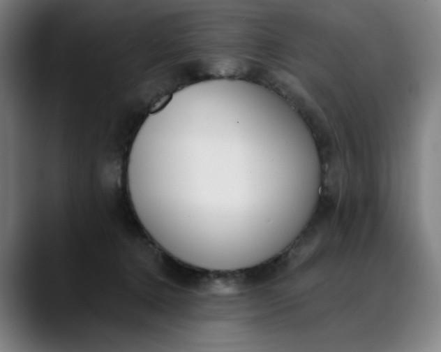 X0000089830368200707121645