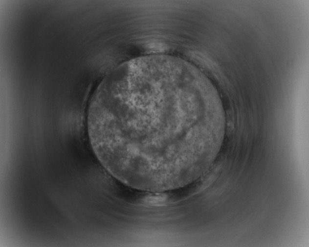 X0000089830369200707121645