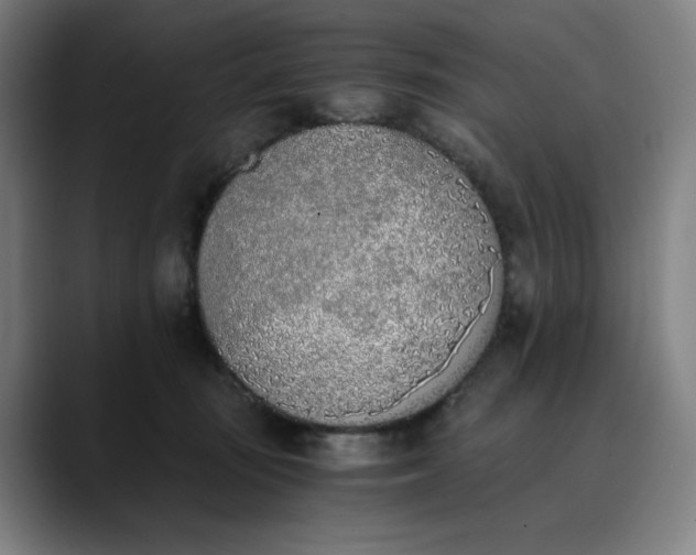 X0000089830371200707121645