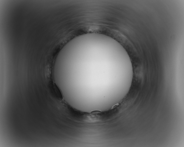 X0000089830372200707121645