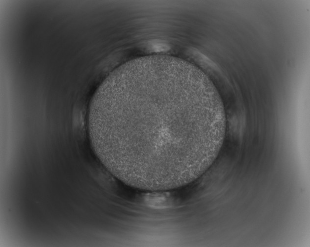 X0000089830373200707121645