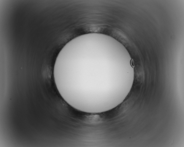 X0000089830374200707121645