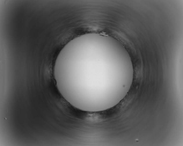 X0000089830376200707121645