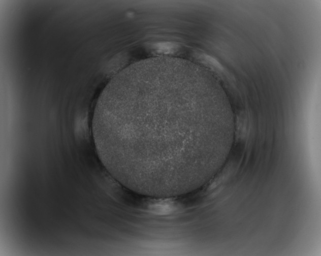 X0000089830377200707121645