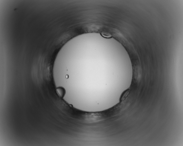 X0000089830378200707121645