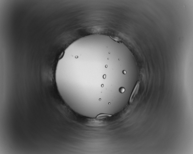 X0000089830380200707121645