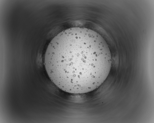 X0000089830381200707121645