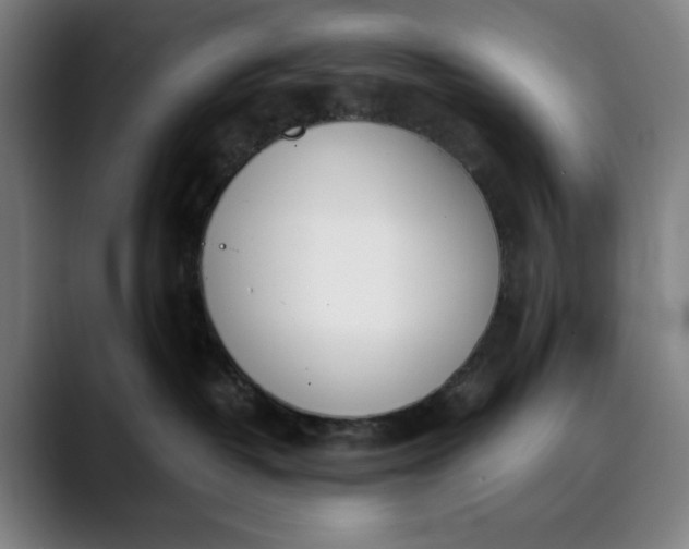 X0000089830382200707121645