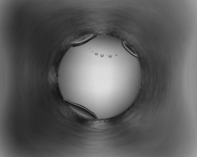 X0000089830384200707121645