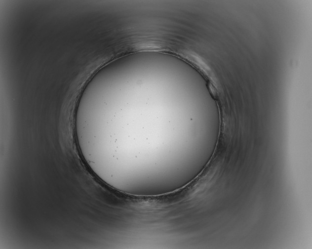 X0000089830385200707121645