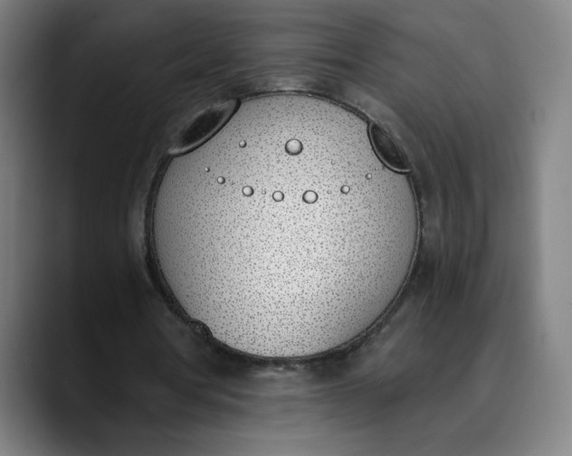 X0000089830386200707121645