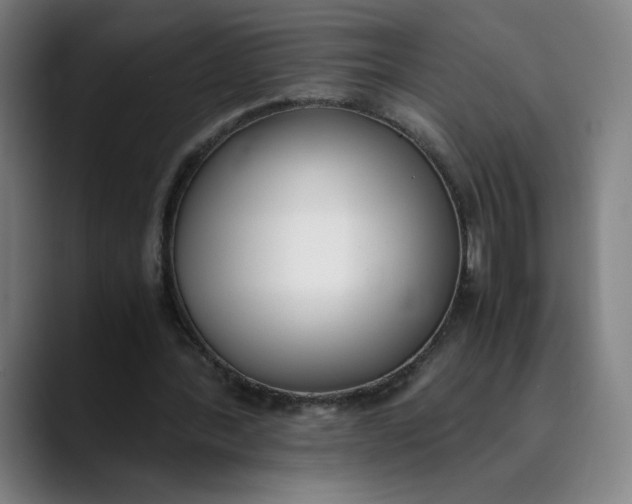 X0000089830388200707121645